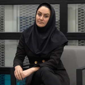 محاسبان