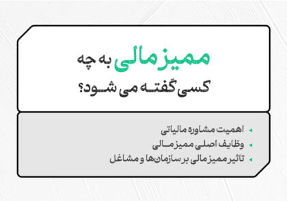 ممیز مالی