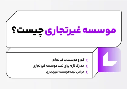 موسسه غیر تجاری چیست