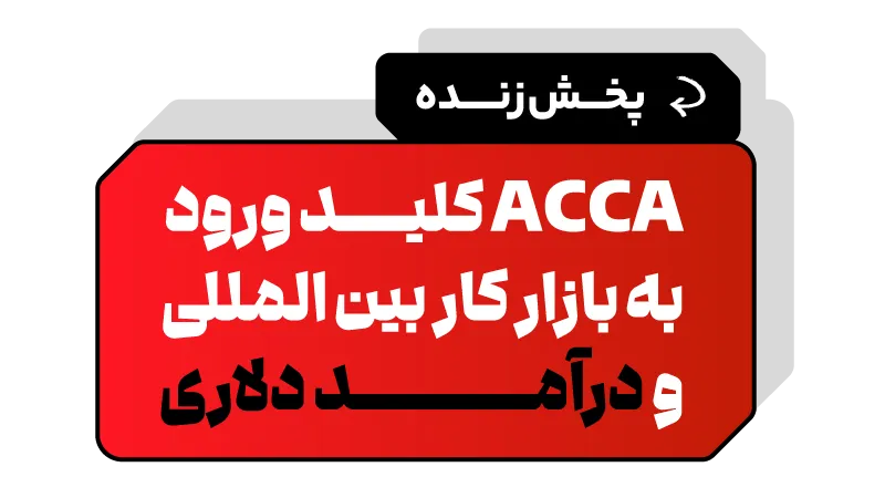 محاسبان