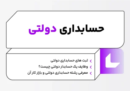 حسابداری دولتی چیست؟